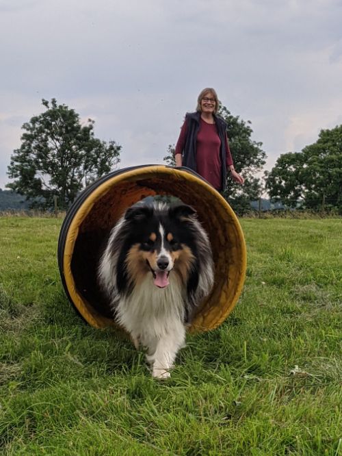 UK Dog Sport Tunnel