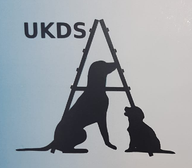 UKDS logo