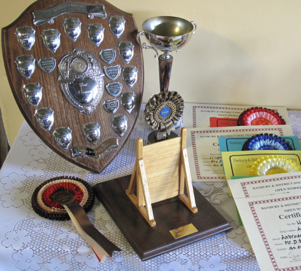 Working Trials Scale trophy